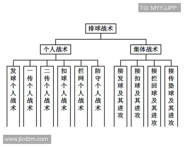 杭州排球队快攻战术深度分析与实战应用探讨